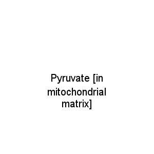 Pyruvate [in mitochondrial matrix]